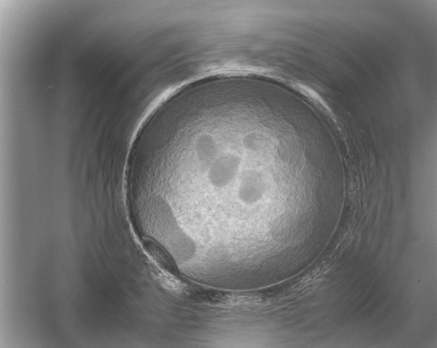 X0000060571183200511171623