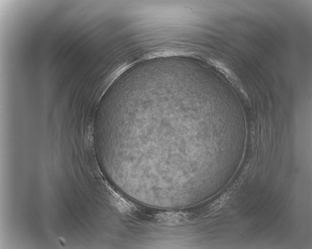 X0000060571185200511171623