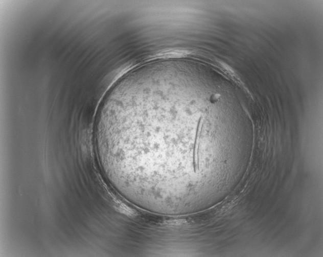 X0000060571186200511171623