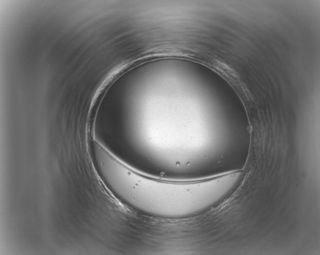 X0000060571188200511171623