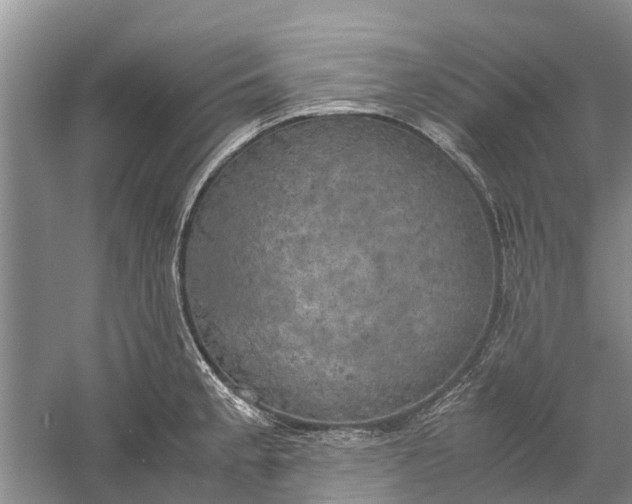 X0000060571189200511171623