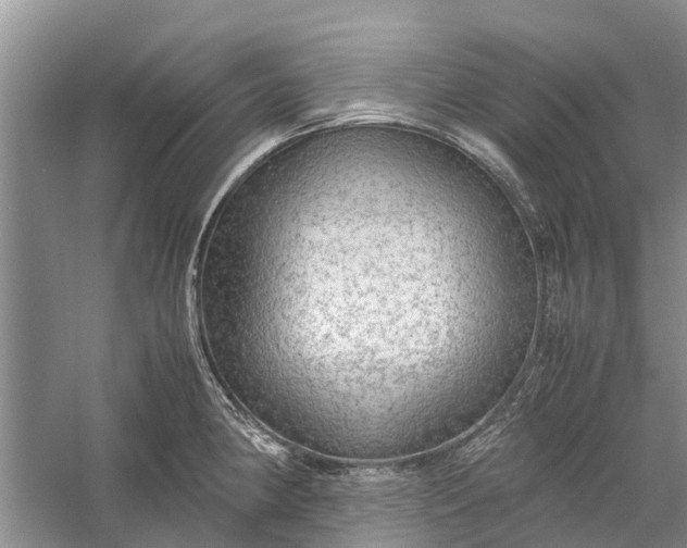 X0000060571190200511171623