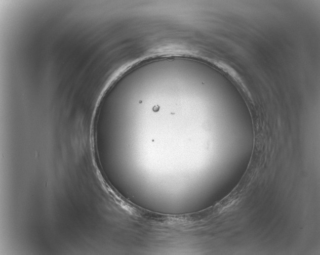 X0000060571191200511171623