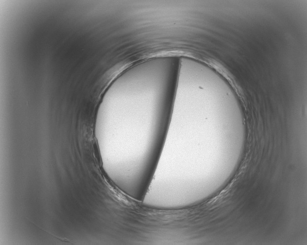 X0000060571193200511171623