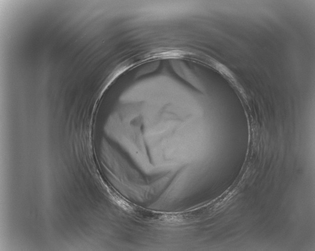 X0000060571194200511171623