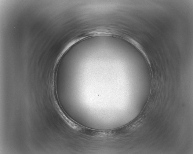 X0000060571195200511171623