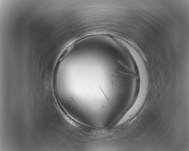 X0000060571197200511171623