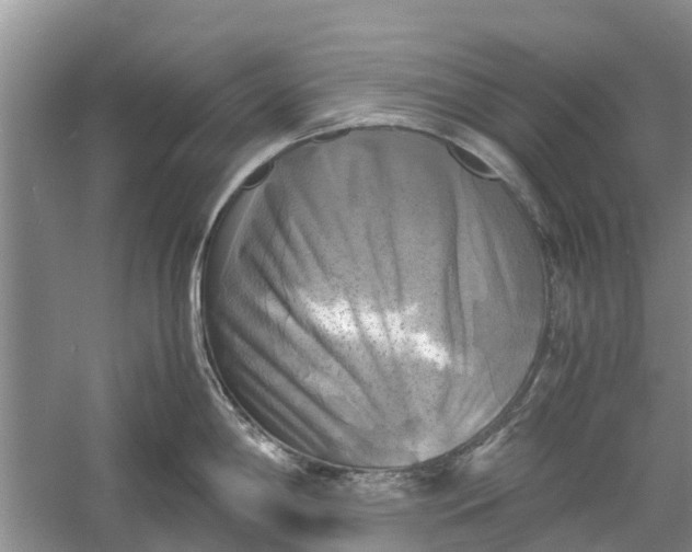 X0000060571198200511171623