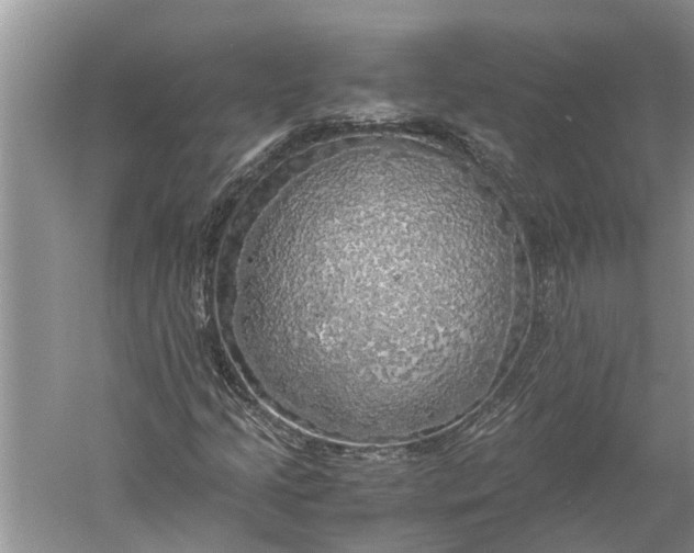 X0000060571205200511171622