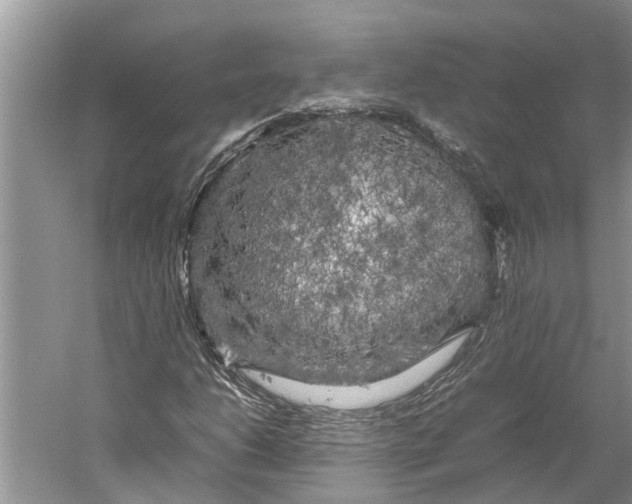 X0000060571206200511171622