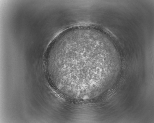 X0000060571208200511171622