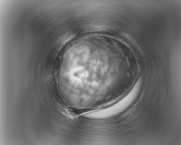 X0000060571210200511171622