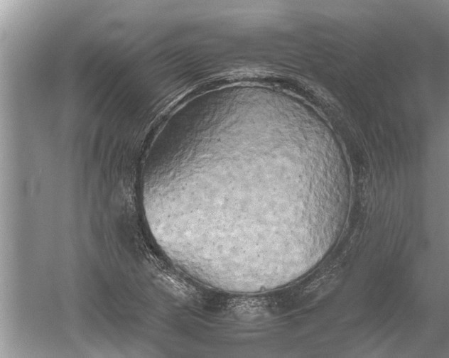 X0000060571217200511171623