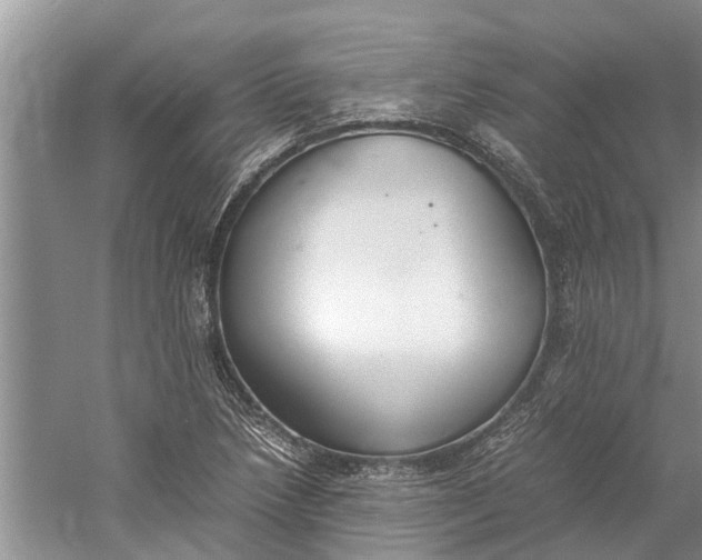 X0000060571218200511171623