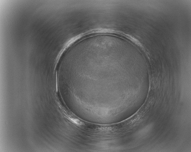 X0000060571223200511171623