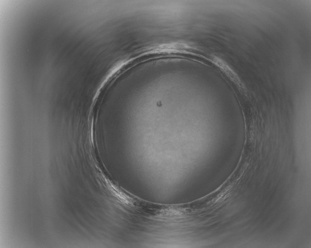 X0000060571224200511171623