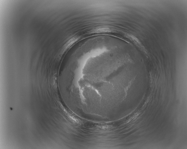 X0000060571225200511171623