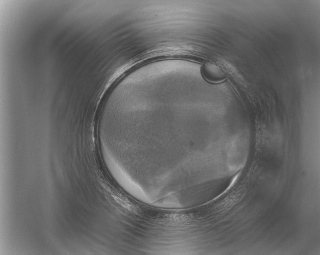 X0000060571226200511171623