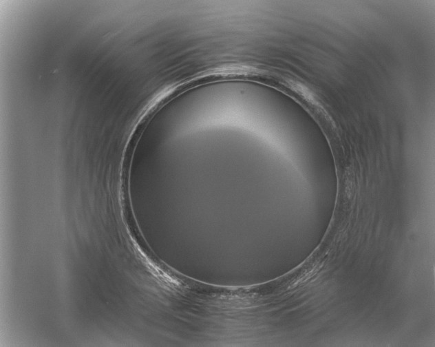 X0000060571229200511171623