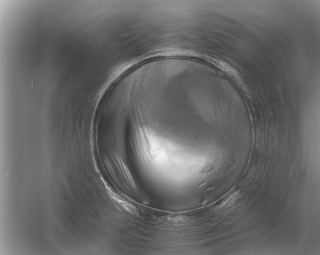 X0000060571231200511171623