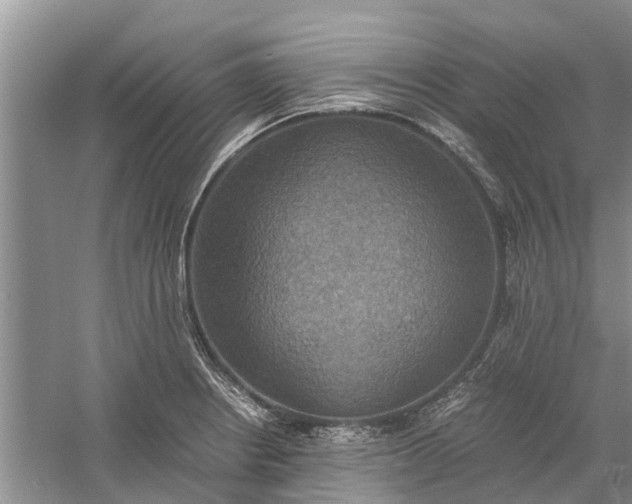 X0000060571234200511171623