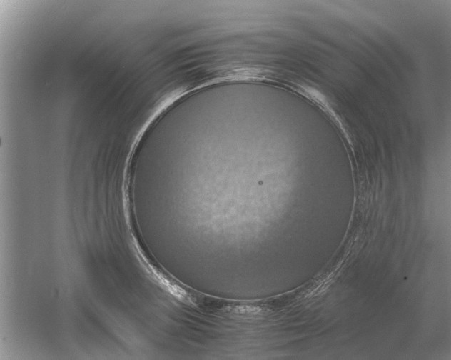 X0000060571235200511171623