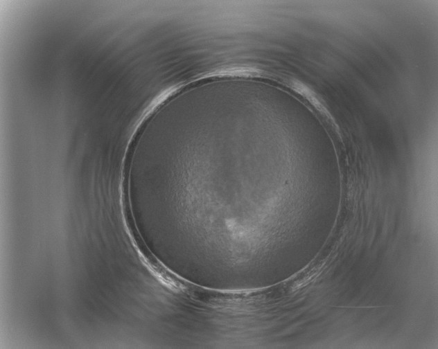 X0000060571237200511171623