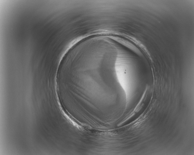 X0000060571239200511171623