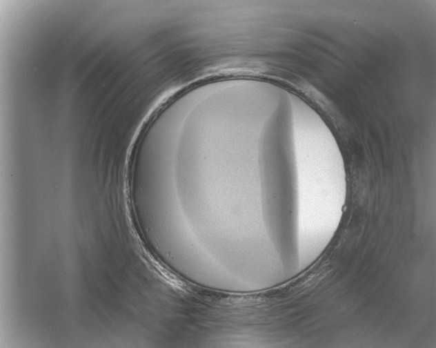 X0000060571240200511171623