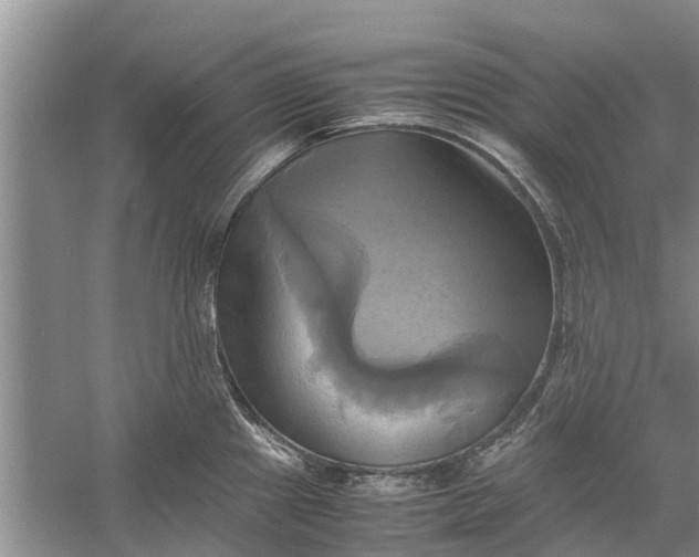 X0000060571241200511171623