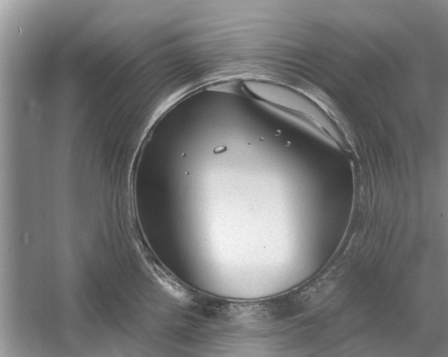 X0000060571242200511171623