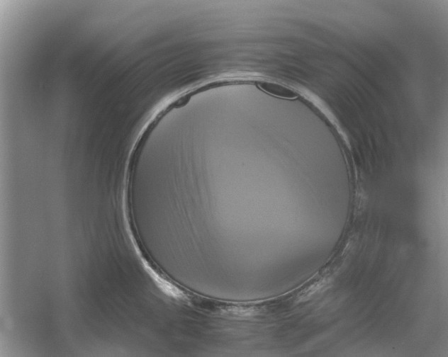 X0000060571245200511171623