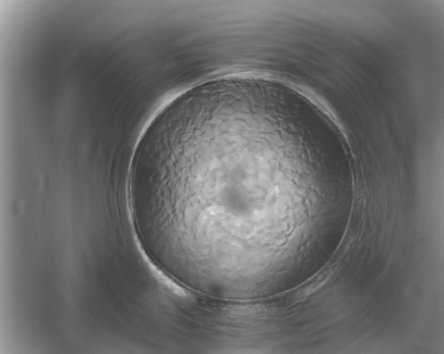 X0000060571247200511171623