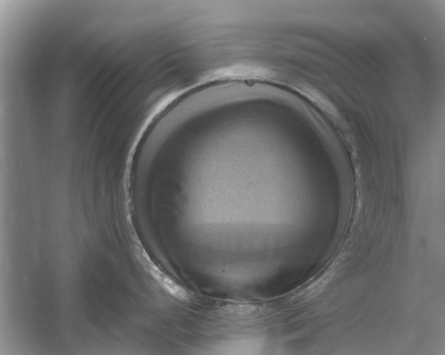 X0000060571248200511171623