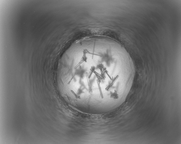 X0000060571249200511171622