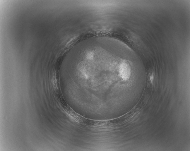 X0000060571252200511171622