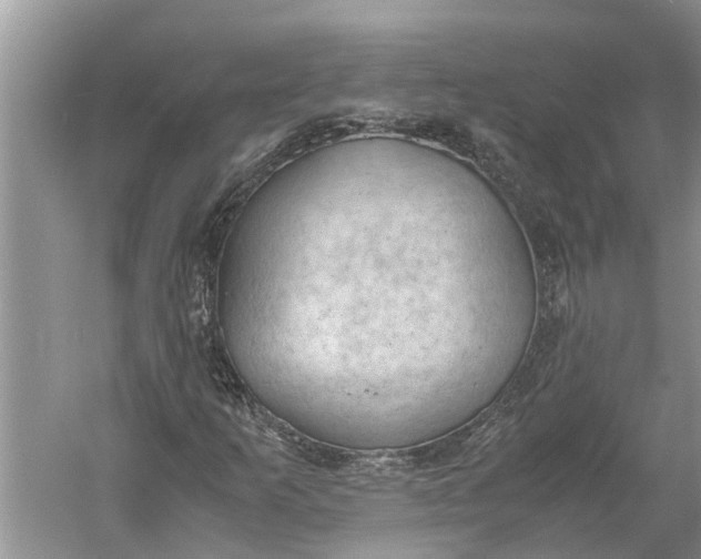 X0000060571253200511171622