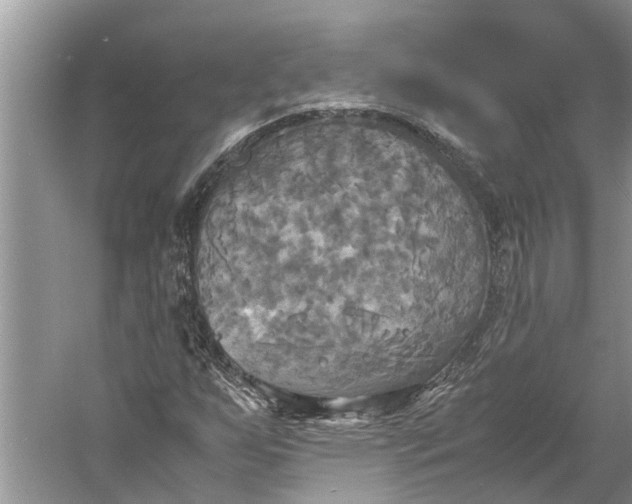 X0000060571255200511171622