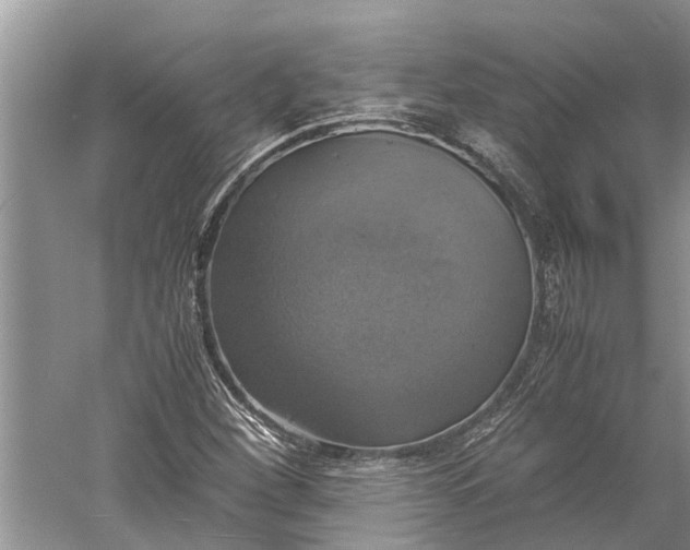 X0000060571260200511171622