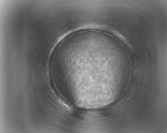 X0000060571264200511171622