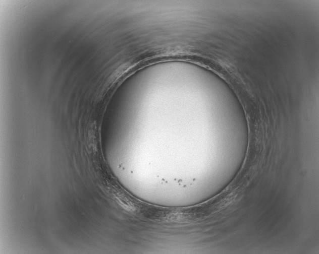 X0000060571265200511171622