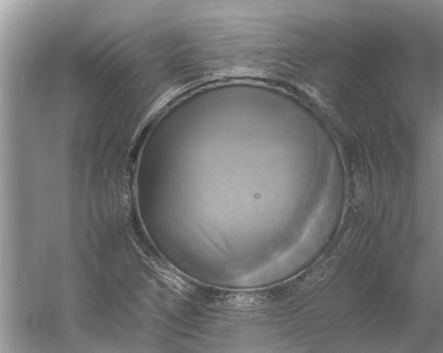 X0000060571266200511171622