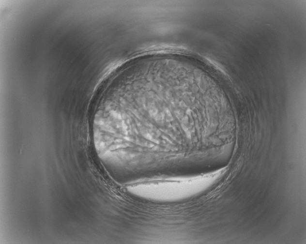 X0000060571267200511171622