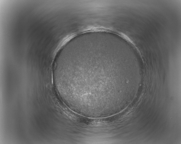 X0000060571269200511171622