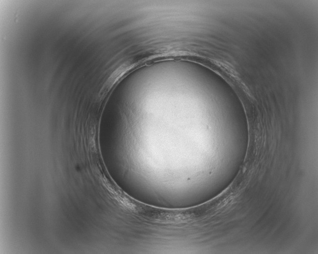 X0000060571273200511171622