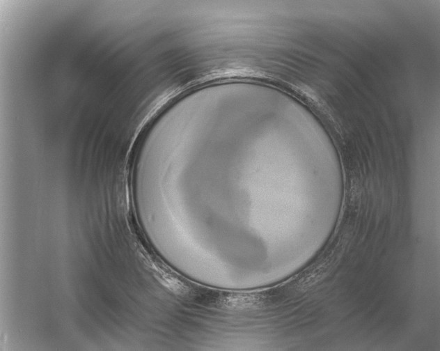 X0000060571274200511171622