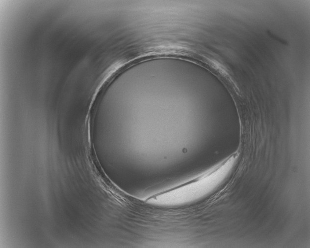 X0000060571275200511171622