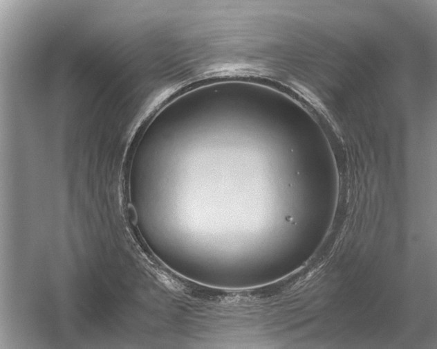 X0000060571277200511171622