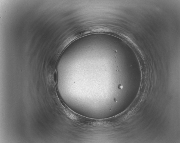 X0000060571281200511171622