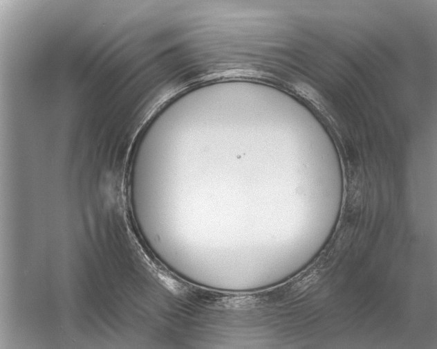 X0000060571282200511171622